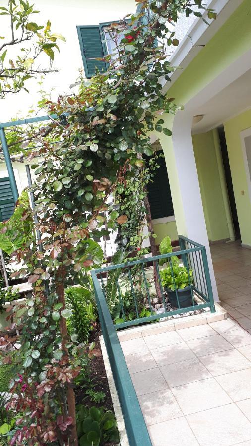 Apartments Simo Petrovac Exterior foto