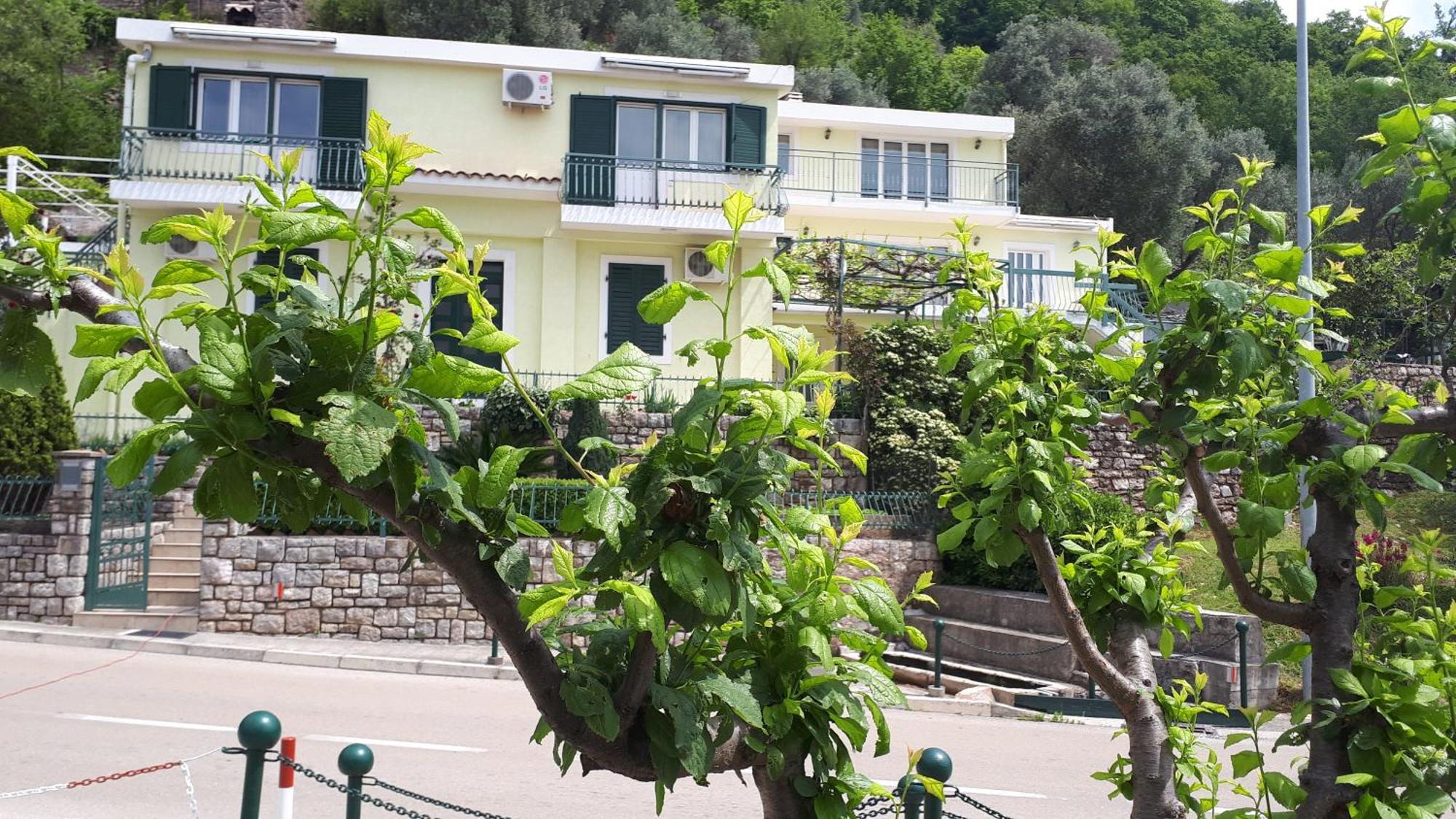 Apartments Simo Petrovac Exterior foto