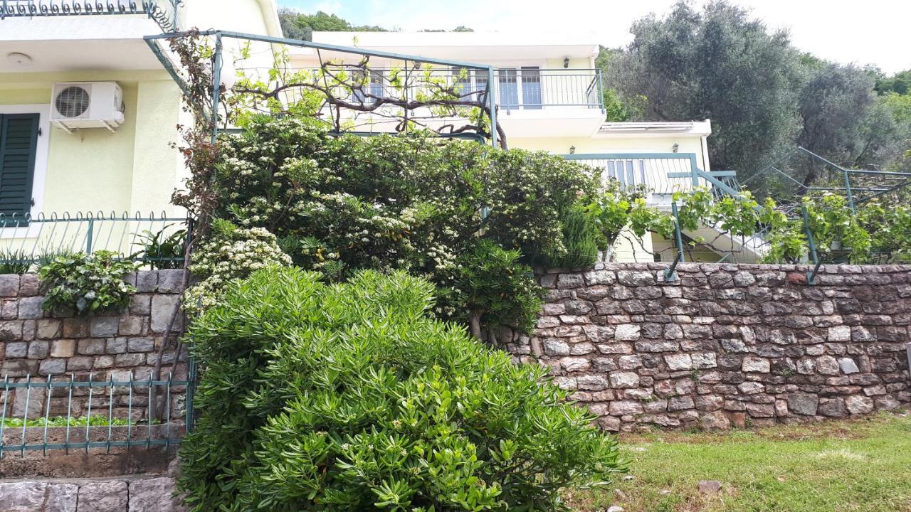 Apartments Simo Petrovac Exterior foto